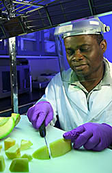 Chemist Olusola Lamikanra slices a cantaloupe. Link to photo information