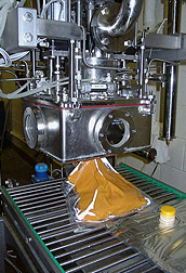 Photo: Sweetpotato purées being made using continuous-flow microwave technology. Link to photo information