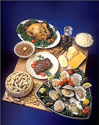 Foods containing zinc. Shown: chicken, eggs, cheese, oysters, beef and peanuts.