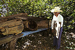 Retired beekeeper Tomas Arriaga cautiously opens a Africanized honey bee hive located a few yards behind his home.