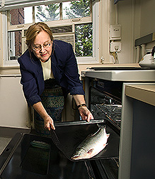 Nutritionist Pamela Pehrsson prepares an Alaskan Arctic char. Link to photo information