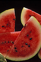 Fresh watermelon. Link to photo information