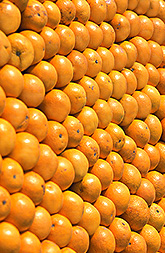 Oranges. Link to photo information