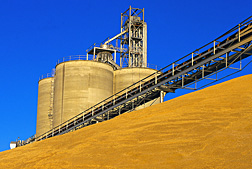 Photo: Stored grain elevator.