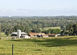 Buildings and barns at the former Subtropical Agricultural Research Station. Buildings and barns at the former Subtropical Agricultural Research Station.