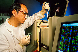 Microbiologist uses DNA sequencer to examine genetically engineered ASF viruses
