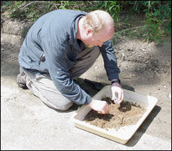 Dr. DeWayne Shoemaker with a tray of ants