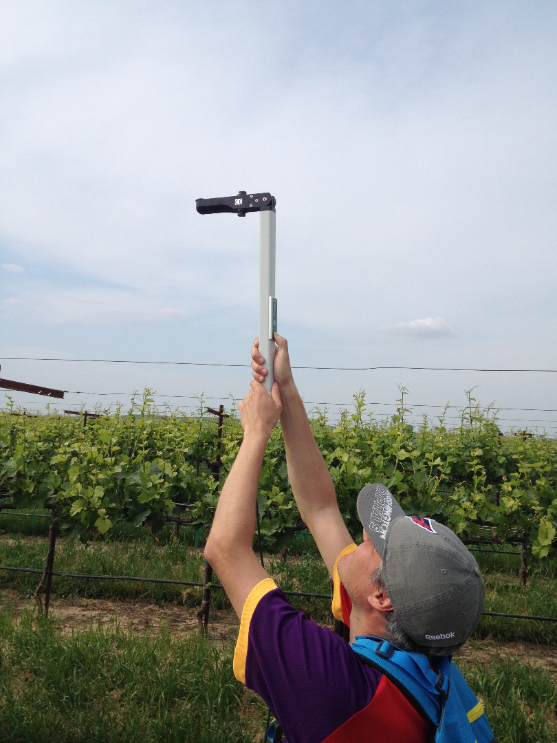 GRAPEX LAI : USDA ARS