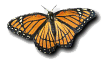 Monarch butterfly: Link to web site