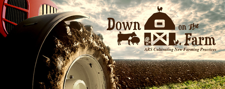 Down on the Farm artwork