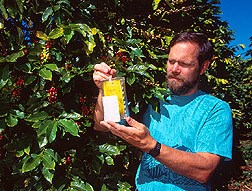 {short description of image}