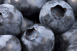 Photo: Blueberries. Link to photo information