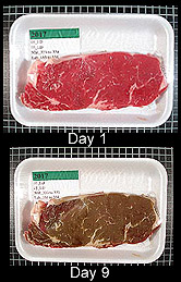 Photo: A bright red steak on day one compared to how brown the same steak was on day nine in a simulated retail display. 