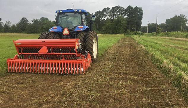 tractor tills a cover crop